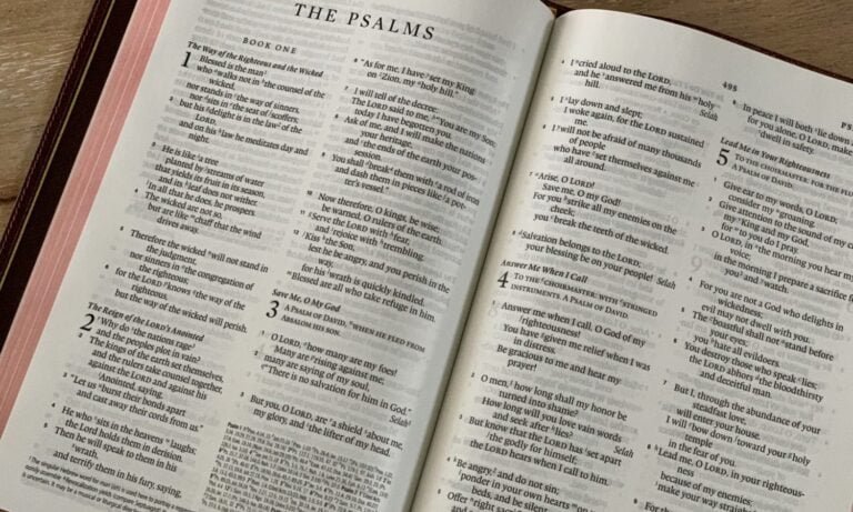 How the Psalms Help Us to Pray