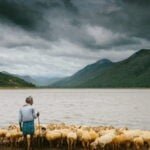 Faithful Shepherding In The Midst Of Suffering - Part 1