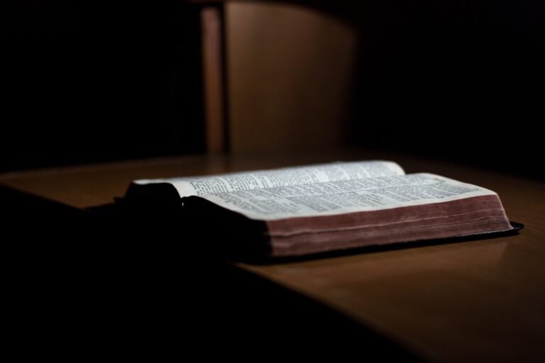 Why Should I Trust The Bible?