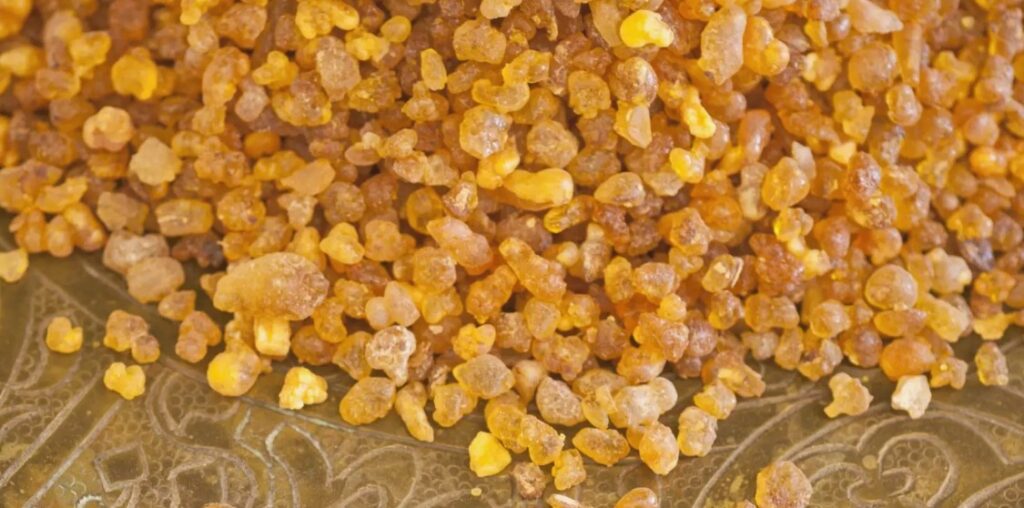 A Gift of Frankincense